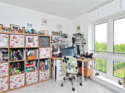 Picture 17